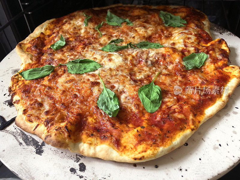 在厨房烤箱中烘焙的自制披萨食谱，在披萨石上制作薄而脆的披萨，意大利那不勒斯玛格丽塔/玛格丽塔披萨，磨碎的马苏里拉奶酪，番茄酱，意大利香草，新鲜的罗勒叶，上面放培根